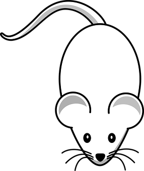 Affordable-Rodent-Control--in-Corbett-Oregon-Affordable-Rodent-Control-1050-image