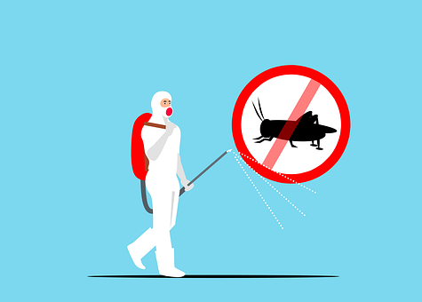 Exterminators--in-Boring-Oregon-Exterminators-59106-image